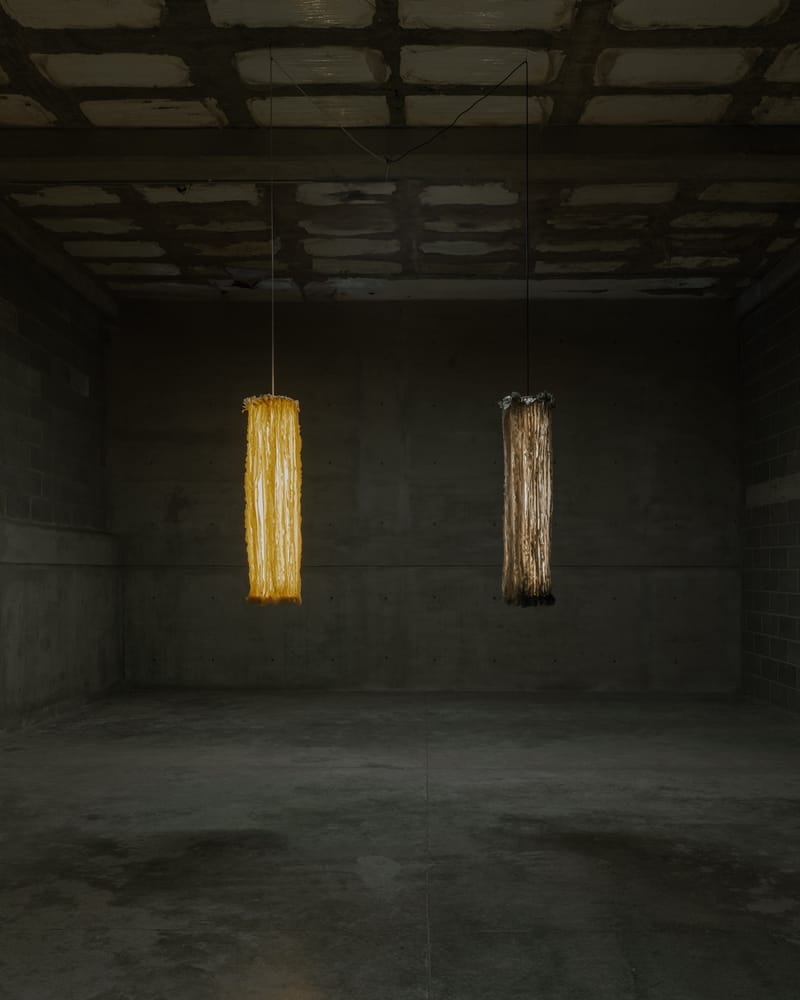 Polybion™ × Natural Urbano Unveil Lapso: A Living Lamp Grown from Bacteria